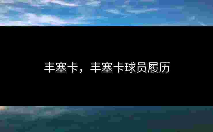 丰塞卡，丰塞卡球员履历