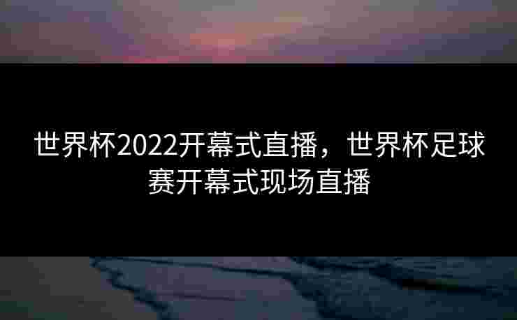世界杯2022开幕式直播，世界杯足球赛开幕式现场直播